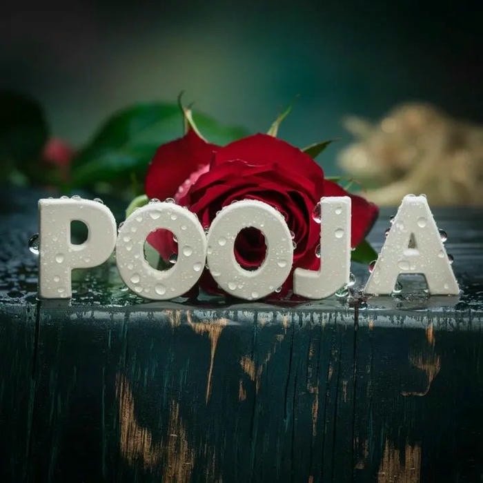 vibrant color pooja dp