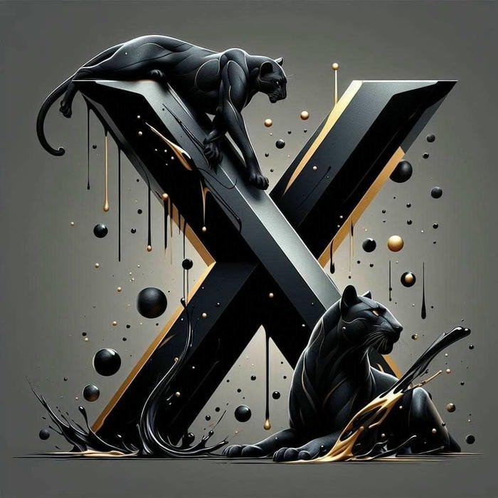 High quality x name dp picture.