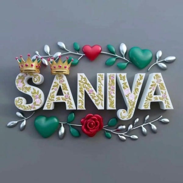 creative saniya dp art