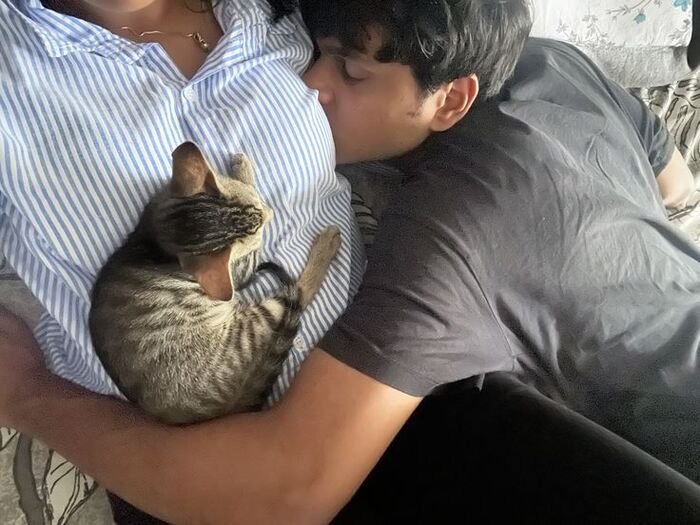 full hd chest kiss image